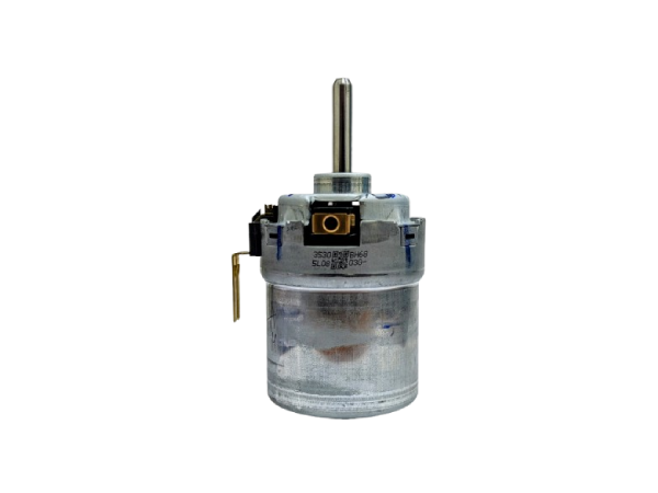 Blower Motors